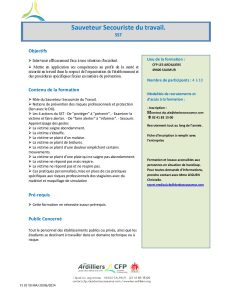 Plaquette SST Secouriste Sauveteur du Travail