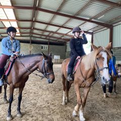 Equitation